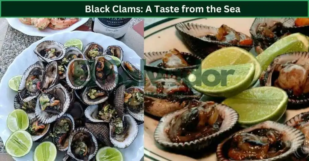 Black Clams: A Taste from the Sea