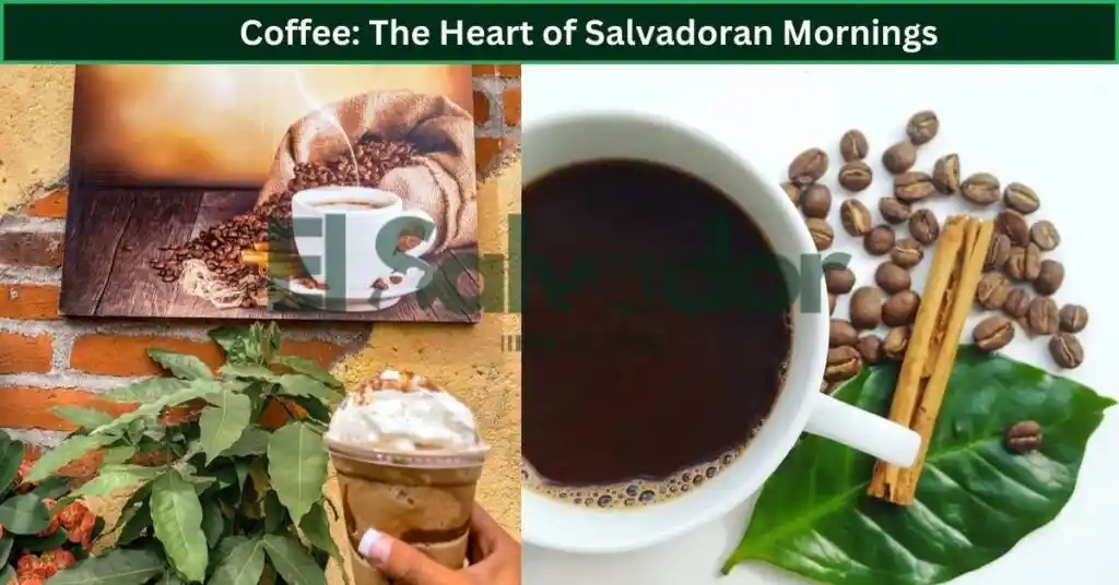 Coffee: The Heart of Salvadoran Mornings