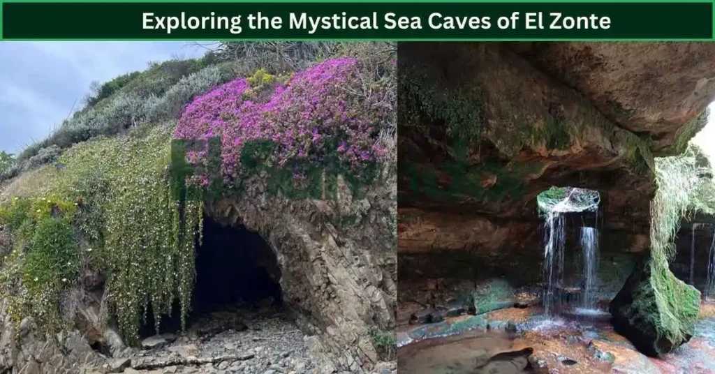 Exploring the Mystical Sea Caves of El Zonte
