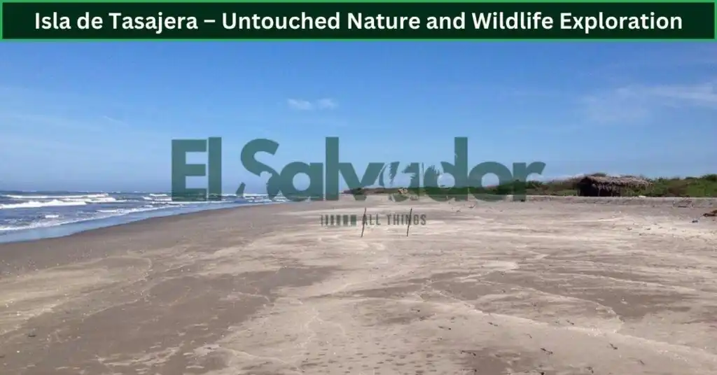 Isla de Tasajera – Untouched Nature and Wildlife Exploration
