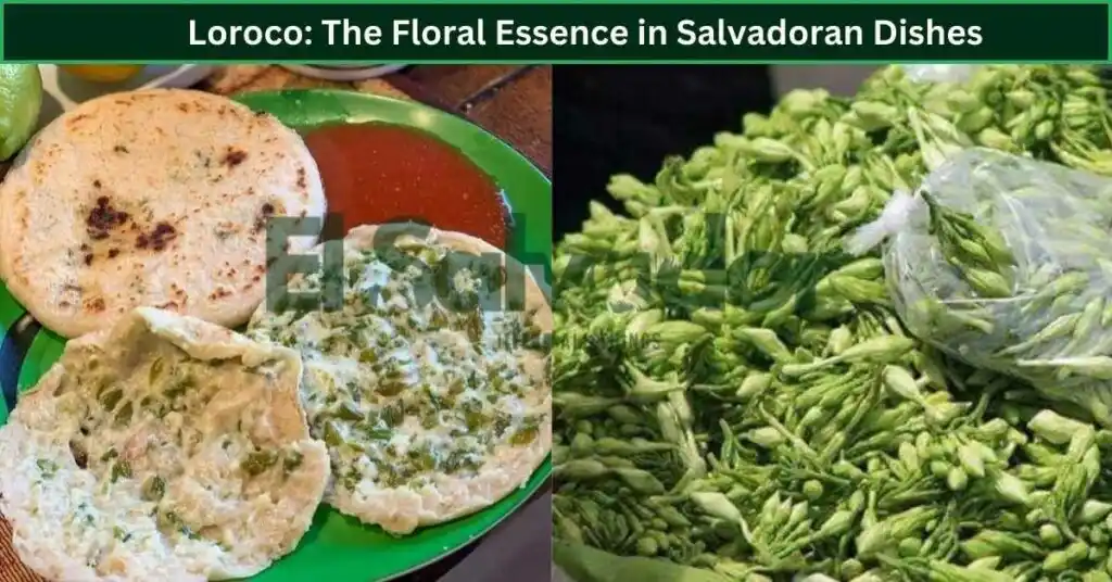 Loroco: The Floral Essence in Salvadoran Dishes
