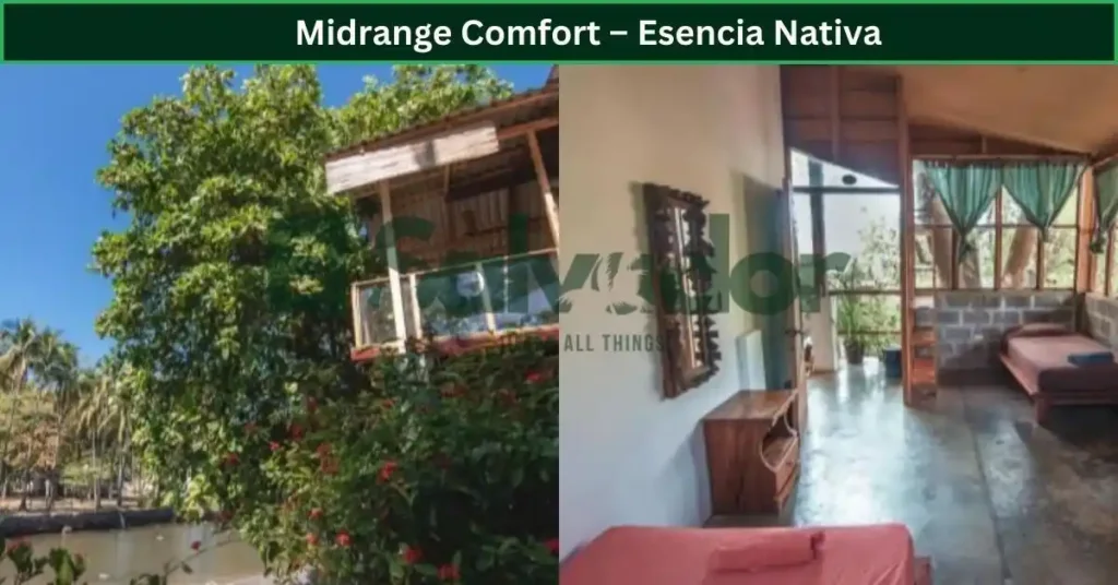 Midrange Comfort – Esencia Nativa
