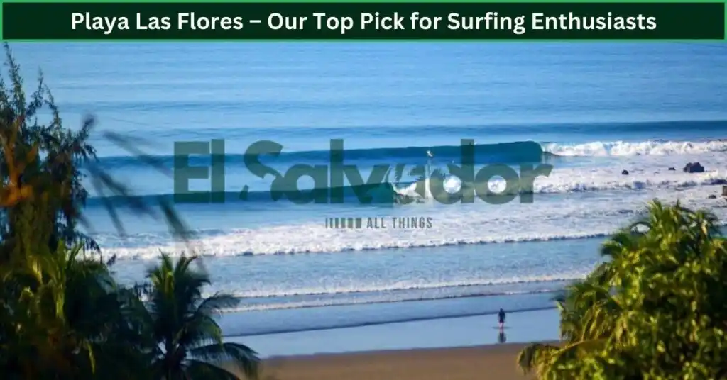 Playa Las Flores – Our Top Pick for Surfing Enthusiasts
