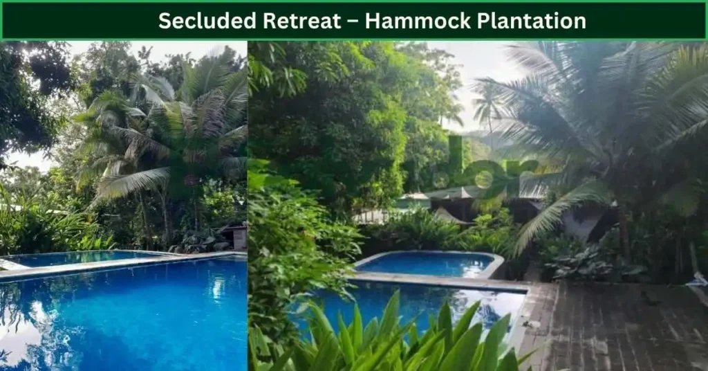 Secluded Retreat – Hammock Plantation
