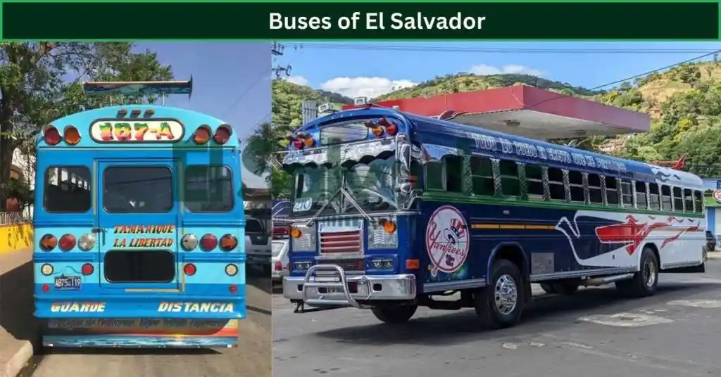 Transportation Tips: From Airports to Local Transit
