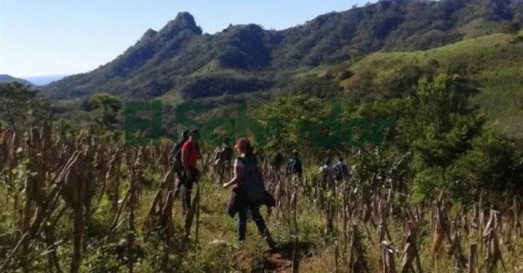 How to Get to Cerro Verde National Park