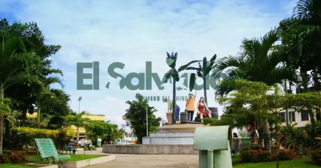 Take a Coffee Tour at El Carmen
