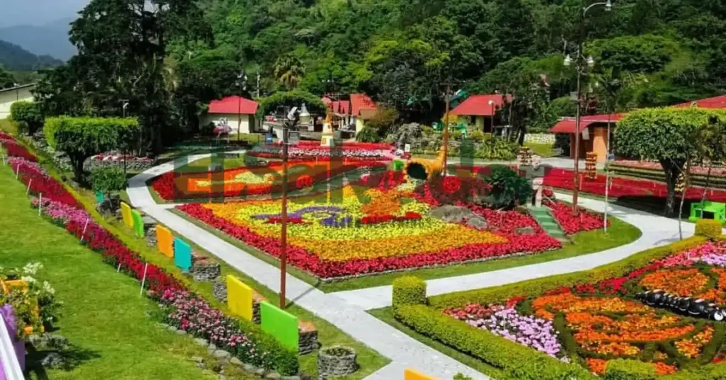 Where to Stay Along the Ruta de las Flores